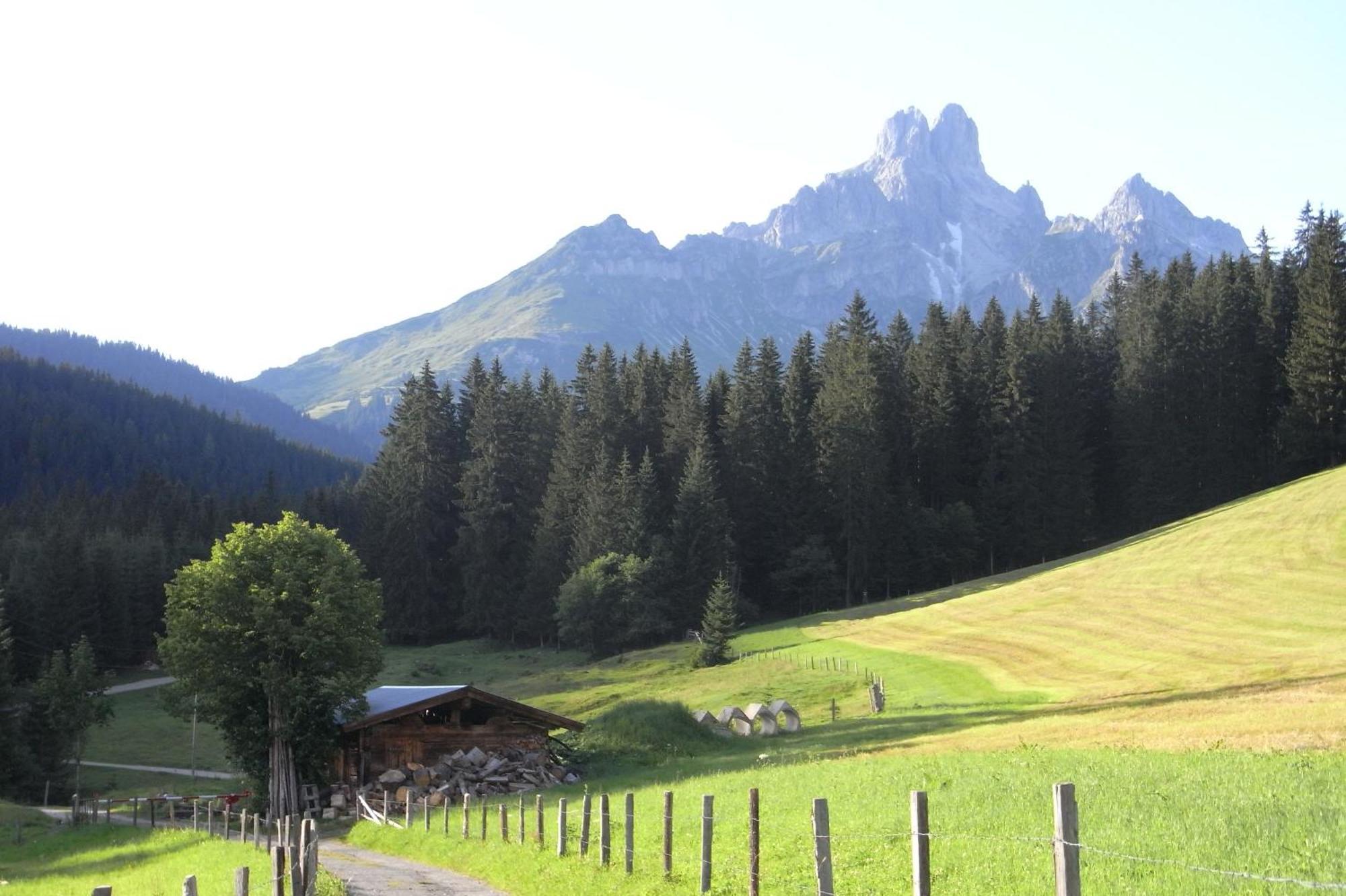 Aparthaus Birkenheim Filzmoos Buitenkant foto