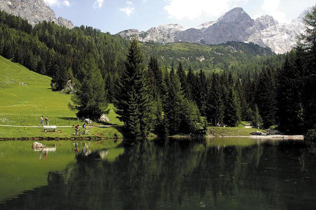 Aparthaus Birkenheim Filzmoos Buitenkant foto